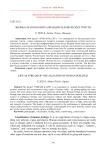 Life as stream of visualization of human feelings