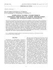 КОМПАКТНАЯ ГОЛОВКА СКАНИРУЮЩЕГО ЗОНДОВОГО МИКРОСКОПА НА ОСНОВЕ ИНЕРЦИАЛЬНЫХ ДВИЖИТЕЛЕЙ, ИСПОЛЬЗУЮЩИХ ПЬЕЗОПАКЕТЫ