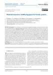 Materials based on modified gypsum for facade systems