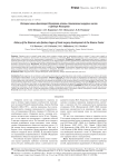История мини-фиксатора Илизарова, этапы становления хирургии кисти в центре Илизарова