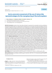 Socio-economic assessment of the use of nature-like nanotechnologies for the reengineering of the technosphere