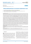 Overview of the instrumental base for the control of greenhouse gases