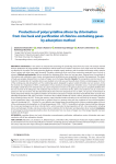 Production of polycrystalline silicon by chlorination from rice husk and purification of chlorine-containing gases by adsorption method