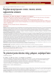 Обструкция пиелоуретерального сегмента: этиология, патогенез, морфологические особенности