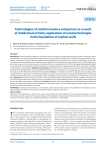 Technologies of small innovative enterprises as a result of intellectual activity: application of nanotechnologies in the liquidation of orphan wells