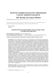 Анализ портрета выпускника СПО на рынке труда глазами работодателя