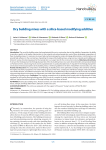 Dry building mixes with a silica-based modifying additive