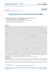 Creation of polymer composites with mineral fillers