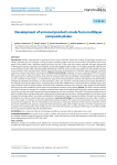 Development of armored products made from multilayer composite plates