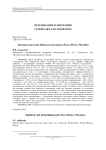 Эпидуральная вена байкальской нерпы (Pusa sibirica, Phocidae)