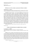 Особенности костей туловища у крокодилов (Caiman crocodylus)