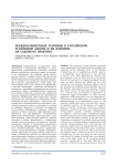 Псевдобланкетные термины в российском уголовном законе и их влияние на судебную практику