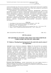 Управление на основе смыслов в системе контроля социальных рисков организации