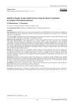 Definitive fixation of open tibial fractures using the Ilizarov ring fixator: an analysis of functional outcomes