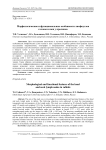 Морфологические и функциональные особенности лимфоузлов головы и шеи у кроликов