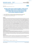 Analysis of the impact of the foundation reinforcement technology using vertical crushed stone columns on the freeze-thaw processes of permafrost soils in railway subgrade foundation