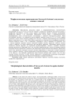 Морфологическая характеристика Sarcocystis bertrami в скелетных мышцах лошадей