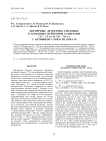 Двумерные детекторы тепловых и холодных нейтронов размерами 120x120 мм и 380x380 мм с активным слоем из бора-10