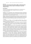 Влияние западноевропейской философии на формирование представлений о жизни, смерти и бессмертии в русской иммортологии