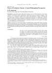 Pieces of evolution's puzzle: a social-philosophical perspective