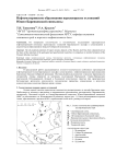 Нефтематеринские образования верхнеюрских отложений Южно-Баренцевской синеклизы