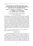 Endolithic and hypolithic soil-like systems: structure and composition from the macro- to submicro-levels
