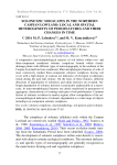 Solonetzic soilscapes in the Northern Caspian lowland: local and spatial heterogeneity of pedofeatures and their changes in time