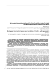 Экология информационного пространства как условие развития здоровой антропосистемы