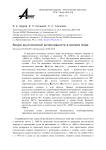 Вихри акустической интенсивности в мелком море