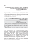 О содержании умысла при посягательстве на жизнь сотрудника правоохранительного органа