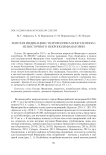 Золотая индикация с полуфоллиса Константина I из восточного некрополя Фанагории