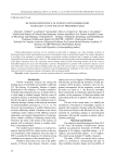 Weather dependence of patients with respiratory pathology at the south of Primorsky krai