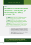 Современное состояние полезащитных лесных полос с преобладанием дуба черешчатого (Quercus robur L.) в Каменной степи