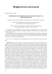 Изменение светопроницаемости твердых тканей зуба при отбеливании