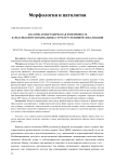 Анатомо-топографическая изменчивость каркасных интракраниальных структур срединной локализации