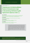 Современное состояние дубравы главного ботанического сада и повышение устойчивости дуба черешчатого (Quercus robur L.)