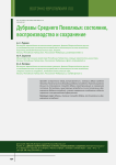 Дубравы Среднего Поволжья: состояние, воспроизводство и сохранение