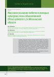 Массовое усыхание побегов в молодых культурах сосны обыкновенной (Pinus sylvestris L.) в Московской области