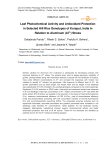 Leaf photochemical activity and antioxidant protection in selected hill rice genotypes of Koraput, India in relation to aluminum (Al3+) stress