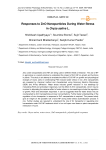 Responses to ZnO nanoparticles during water stress in Oryza sativa L