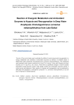 Реакция энергетического метаболизма и антиоксидантных ферментов на гипоксию и реоксигенацию у глубоководных амфипод Ommatogammarus carneolus melanophthalmus из озера Байкал