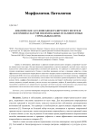 Динамическое заселение биодеградируемого носителя клеточной культурой мезенхимальных мультипотентных стромальных клеток