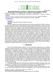Geotextile-reinforced soils in a modernized irrigation system