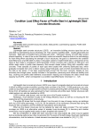 Condition load effect factor of profile steel in lightweight steel concrete structures