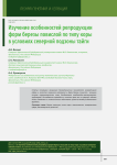 Изучение особенностей репродукции форм березы повислой по типу коры в условиях северной подзоны тайги