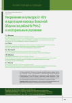 Укоренение в культуре in vitro и адаптация клюквы болотной (Oxycoccus palustris Pers.) к нестерильным условиям