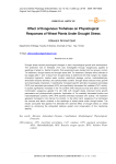 Effect of Exogenous Trehalose on Physiological Responses of Wheat Plants Under Drought Stress