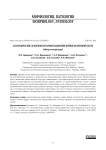 Анатомические особенности кровоснабжения шейки бедренной кости (обзор литературы)