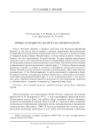 Новые находки палеолита на Нижнем Дону