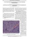 Структурные изменения миокарда при остром отравлении пропранололом
